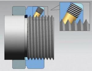 ���ܽ�����ĸ